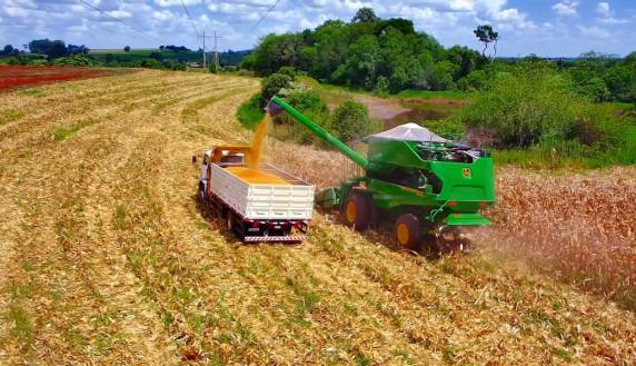 Subtítulo:

Centro de Treinamento John Deere FAHOR utiliza área experimental e agricultura de precisão para transformar o ciclo produtivo do milho em aprendizado técnico e inovação para o agro regional.