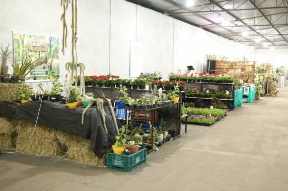 Novo pavilhão exclusivo para floricultura amplia diversidade de plantas e flores na Fenasoja 2026, com participação de cerca de 10 empreendimentos regionais e visitação gratuita ao público.